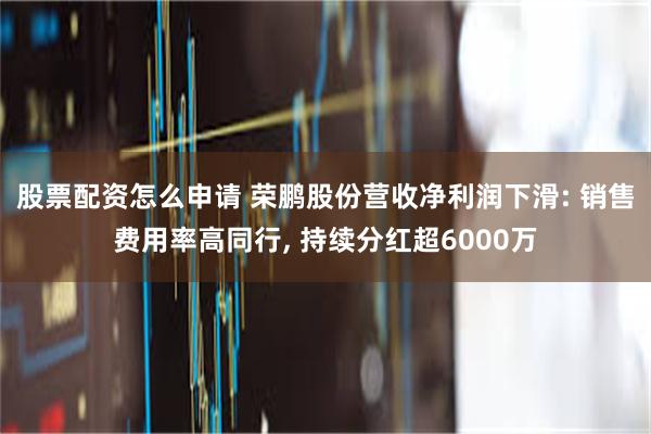 股票配资怎么申请 荣鹏股份营收净利润下滑: 销售费用率高同行, 持续分红超6000万