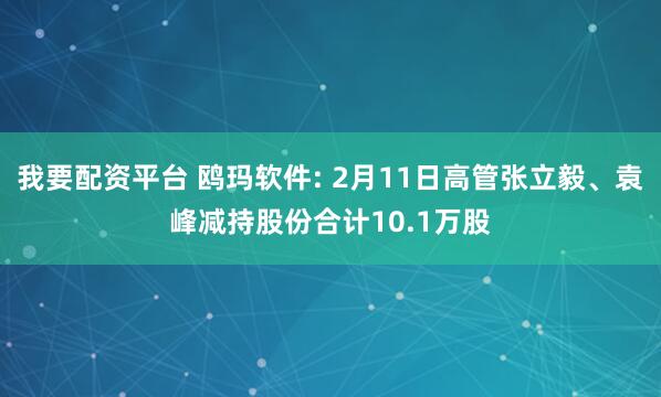 我要配资平台 鸥玛软件: 2月11日高管张立毅、袁峰减持股份合计10.1万股