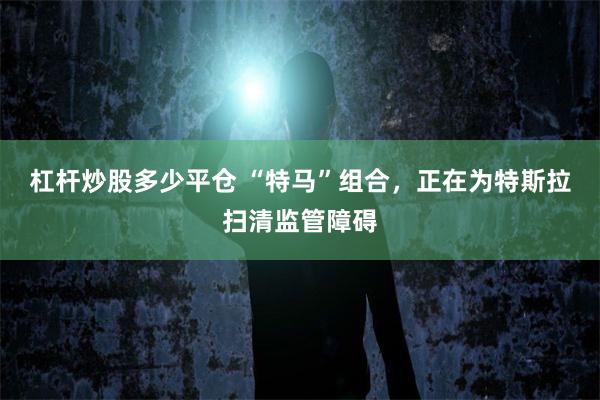 杠杆炒股多少平仓 “特马”组合，正在为特斯拉扫清监管障碍