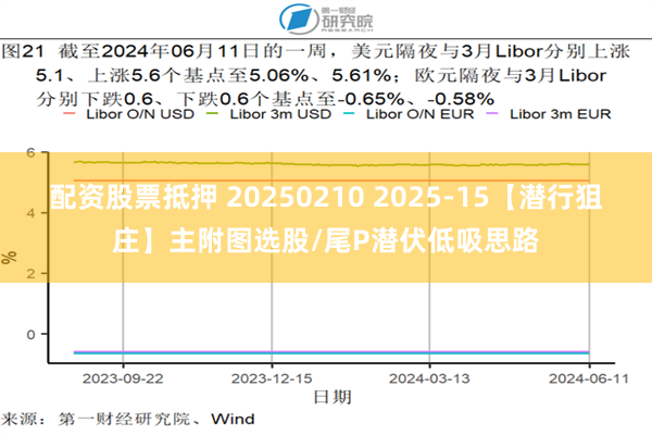 配资股票抵押 20250210 2025-15【潜行狙庄】主附图选股/尾P潜伏低吸思路