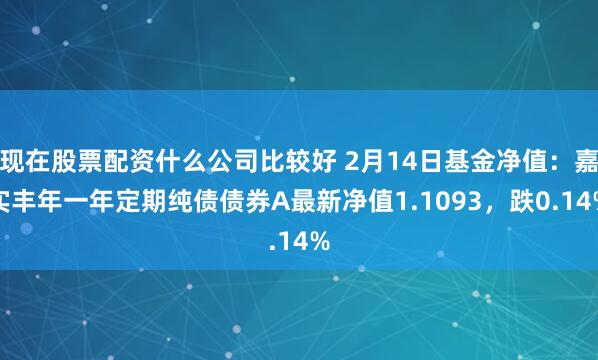 现在股票配资什么公司比较好 2月14日基金净值：嘉实丰年一年定期纯债债券A最新净值1.1093，跌0.14%