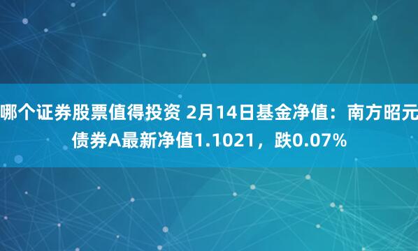 哪个证券股票值得投资 2月14日基金净值：南方昭元债券A最新净值1.1021，跌0.07%