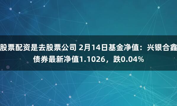 股票配资是去股票公司 2月14日基金净值：兴银合鑫债券最新净值1.1026，跌0.04%