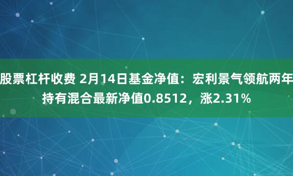 股票杠杆收费 2月14日基金净值：宏利景气领航两年持有混合最新净值0.8512，涨2.31%