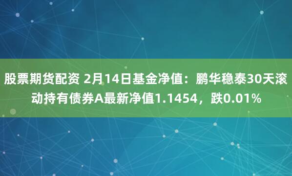 股票期货配资 2月14日基金净值：鹏华稳泰30天滚动持有债券A最新净值1.1454，跌0.01%