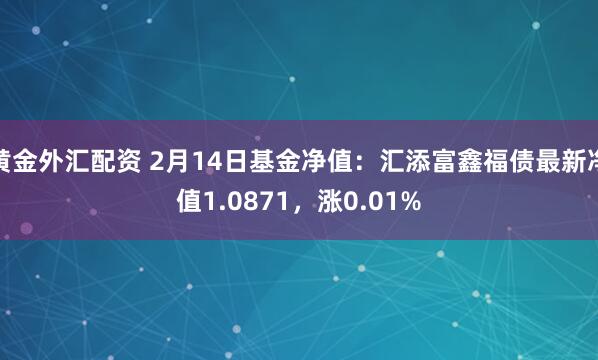 黄金外汇配资 2月14日基金净值：汇添富鑫福债最新净值1.0871，涨0.01%