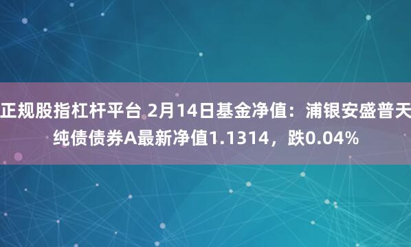 正规股指杠杆平台 2月14日基金净值：浦银安盛普天纯债债券A最新净值1.1314，跌0.04%