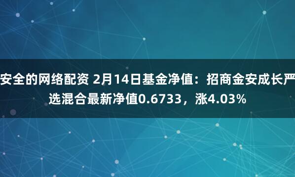 安全的网络配资 2月14日基金净值：招商金安成长严选混合最新净值0.6733，涨4.03%