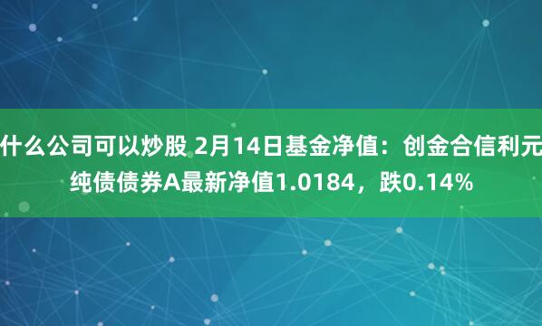 什么公司可以炒股 2月14日基金净值：创金合信利元纯债债券A最新净值1.0184，跌0.14%