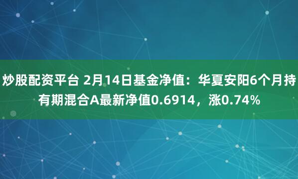 炒股配资平台 2月14日基金净值：华夏安阳6个月持有期混合A最新净值0.6914，涨0.74%