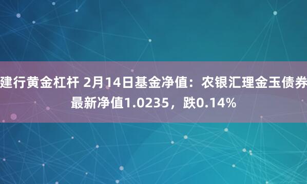 建行黄金杠杆 2月14日基金净值：农银汇理金玉债券最新净值1.0235，跌0.14%