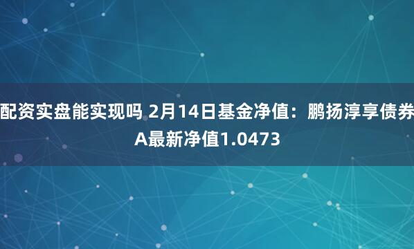 配资实盘能实现吗 2月14日基金净值：鹏扬淳享债券A最新净值1.0473