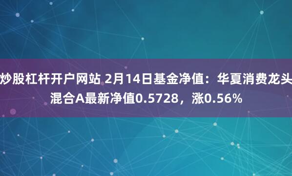 炒股杠杆开户网站 2月14日基金净值：华夏消费龙头混合A最新净值0.5728，涨0.56%