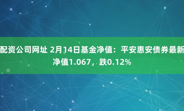 配资公司网址 2月14日基金净值：平安惠安债券最新净值1.067，跌0.12%