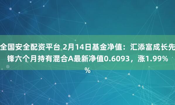 全国安全配资平台 2月14日基金净值：汇添富成长先锋六个月持有混合A最新净值0.6093，涨1.99%