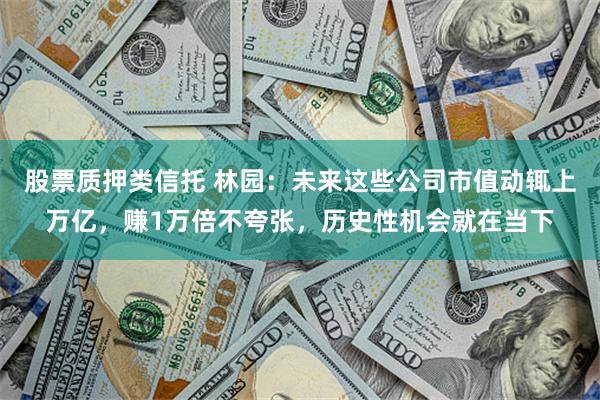 股票质押类信托 林园：未来这些公司市值动辄上万亿，赚1万倍不夸张，历史性机会就在当下