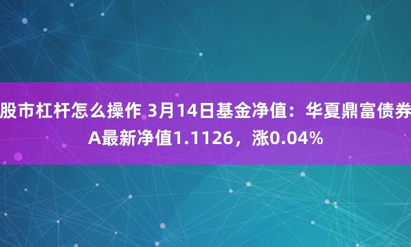 股市杠杆怎么操作 3月14日基金净值：华夏鼎富债券A最新净值1.1126，涨0.04%